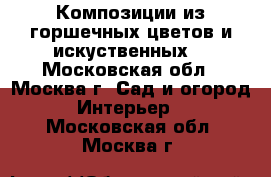 Композиции из горшечных цветов и искуственных  - Московская обл., Москва г. Сад и огород » Интерьер   . Московская обл.,Москва г.